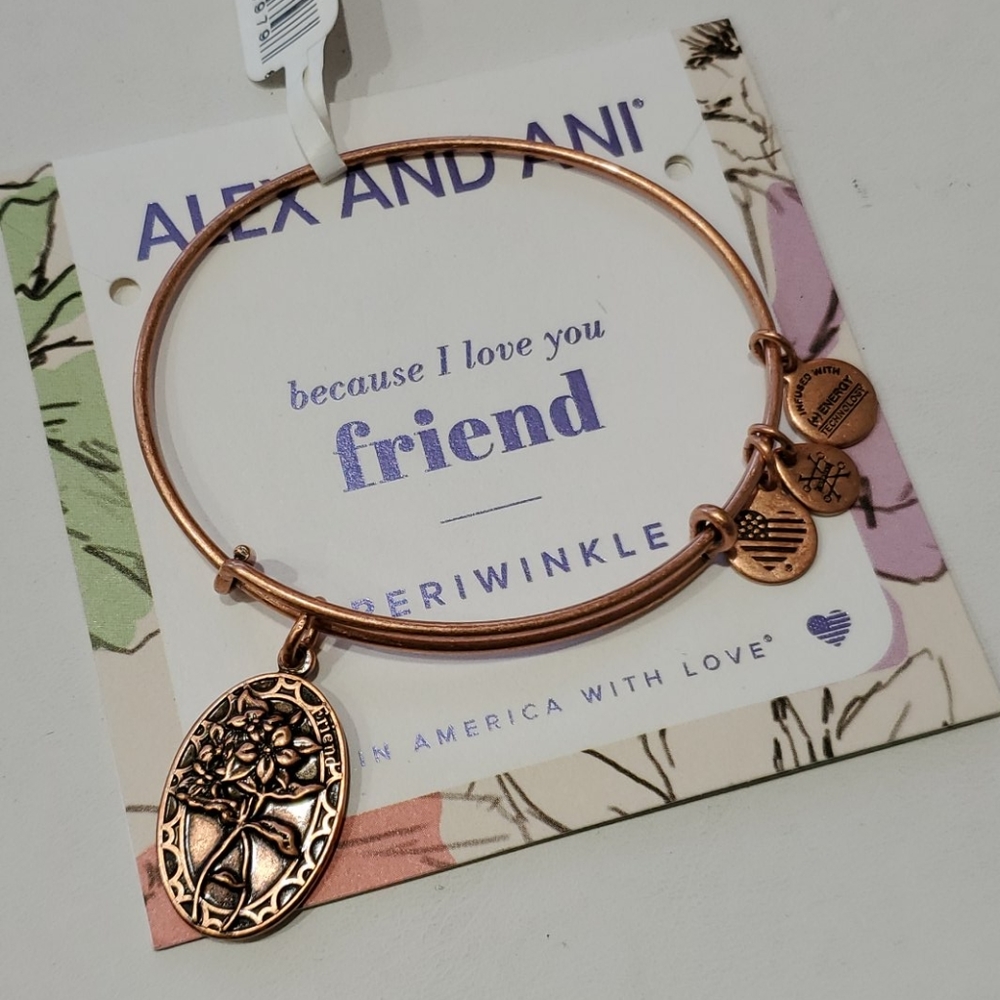 Alex and Ani Friend Because I Love You bracelet